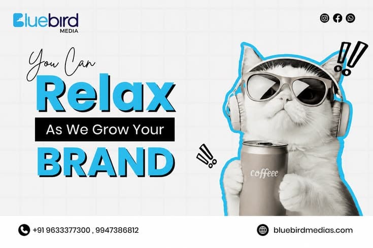 Bluebird Media Kochi: Empowering Brands Through Creative Digital Solutions